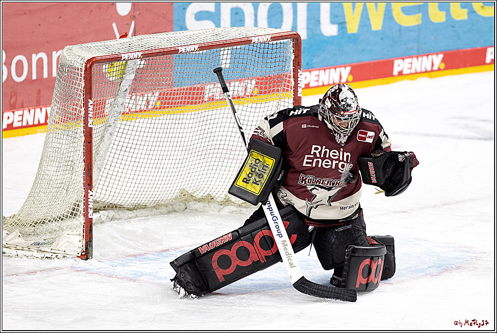 PENNY DEL;  Koelner Haie - Nuernberger Ice Tigers; Koeln, 25.03.2021